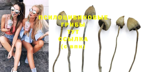 прущая мука Белокуриха