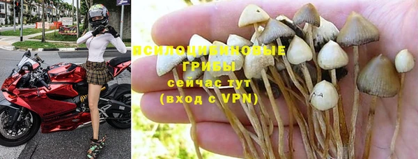 ПСИЛОЦИБИНОВЫЕ ГРИБЫ Белоозёрский