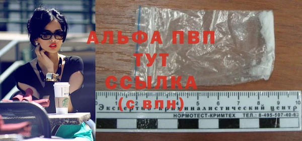 ПСИЛОЦИБИНОВЫЕ ГРИБЫ Белоозёрский