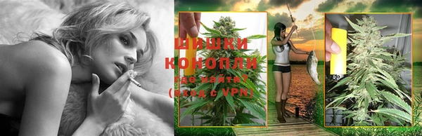 ПСИЛОЦИБИНОВЫЕ ГРИБЫ Белоозёрский