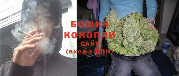 крисы Богородск