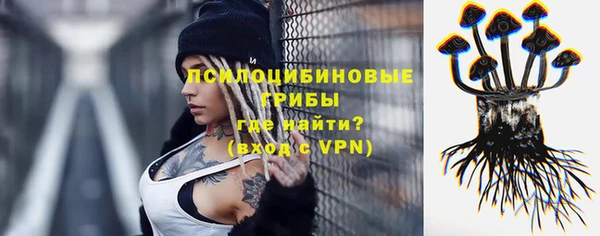 ПСИЛОЦИБИНОВЫЕ ГРИБЫ Белоозёрский
