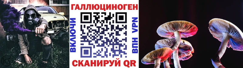 МЕГА сайт  купить  сайты  Гай  Галлюциногенные грибы Cubensis 